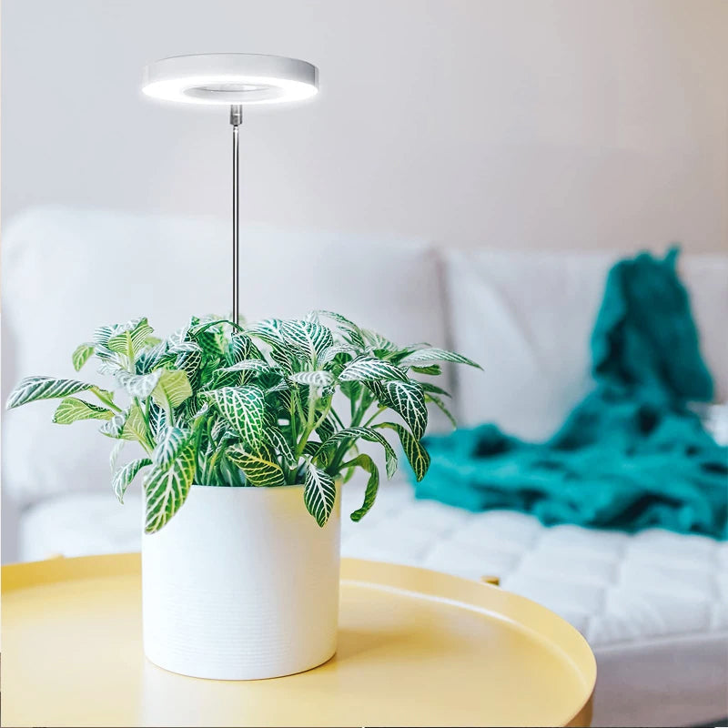 PlantAura – LED-Grow-Lampe für stilvolle Pflanzenpflege im Innenraum