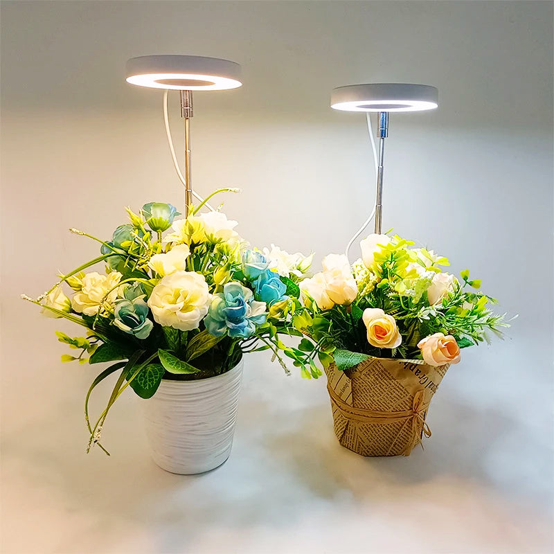 PlantAura – LED-Grow-Lampe für stilvolle Pflanzenpflege im Innenraum
