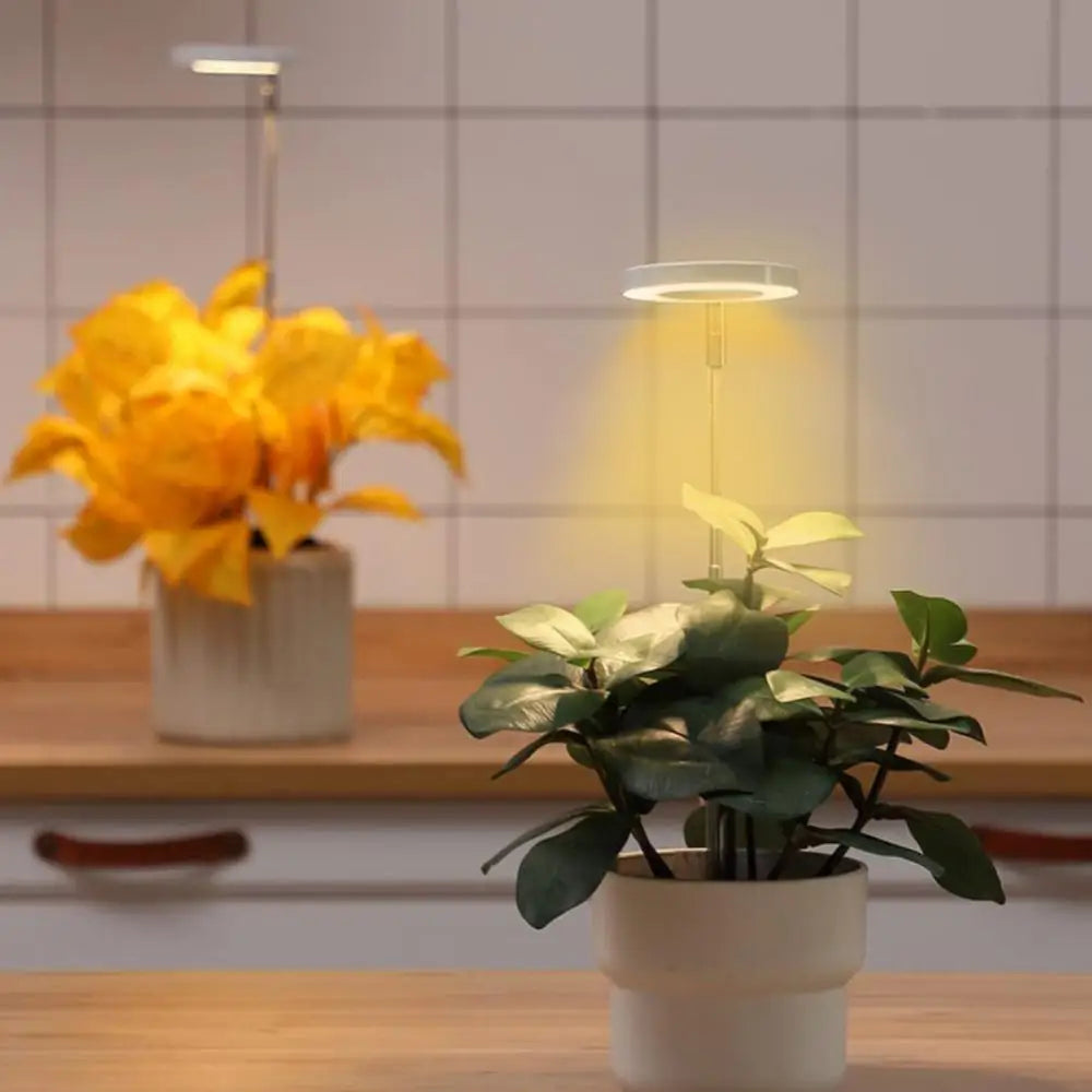 PlantAura – LED-Grow-Lampe für stilvolle Pflanzenpflege im Innenraum
