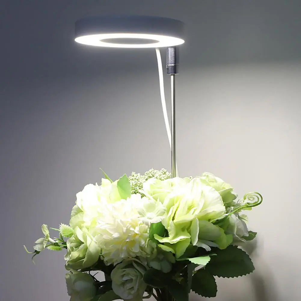 PlantAura – LED-Grow-Lampe für stilvolle Pflanzenpflege im Innenraum