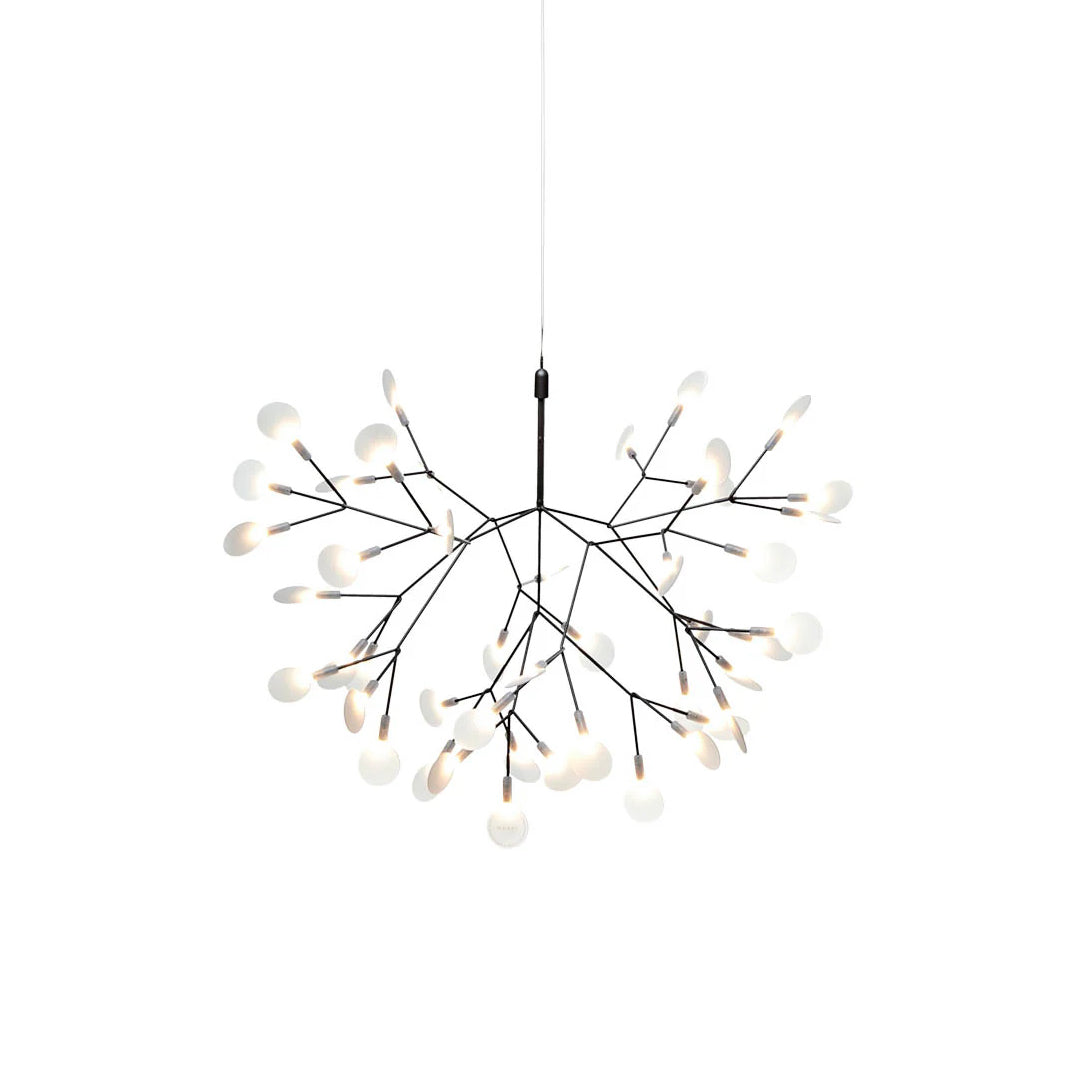 Heracleum – Nordischer Kronleuchter