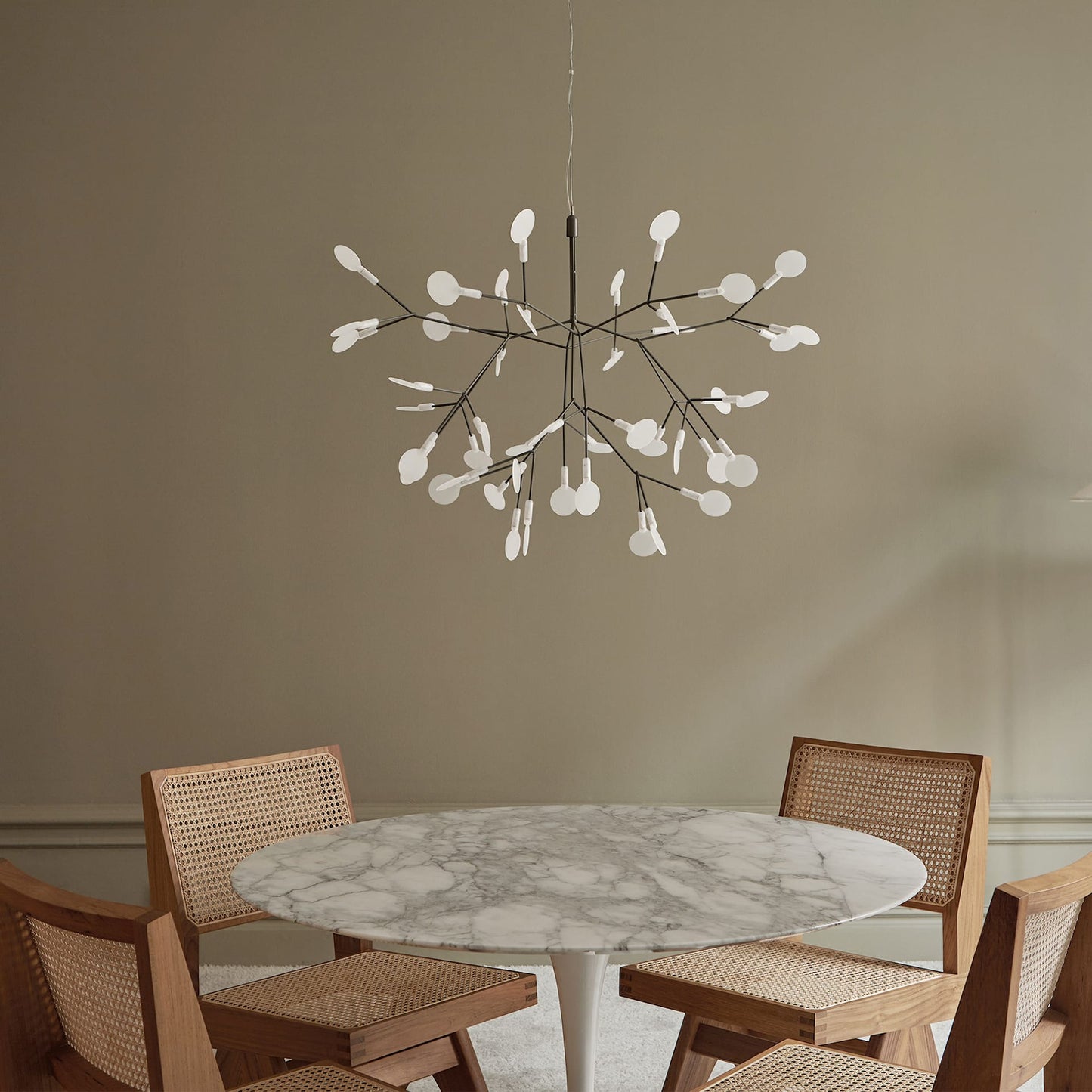 Heracleum – Nordischer Kronleuchter
