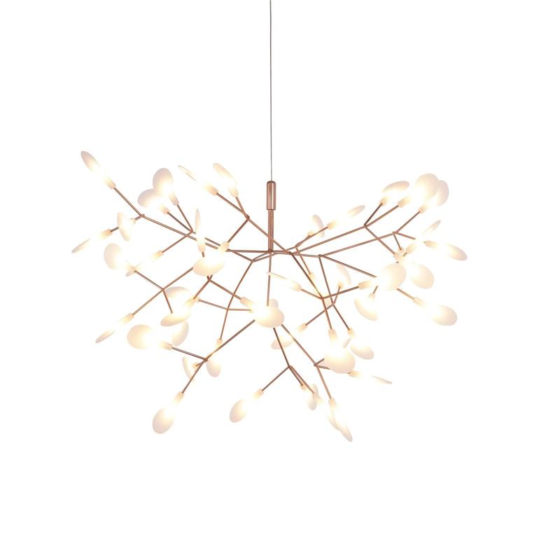 Heracleum – Nordischer Kronleuchter