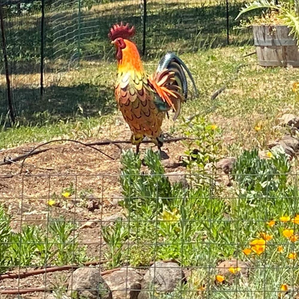 SolarRooster – Metall-Deko mit Licht für Gartenfreude