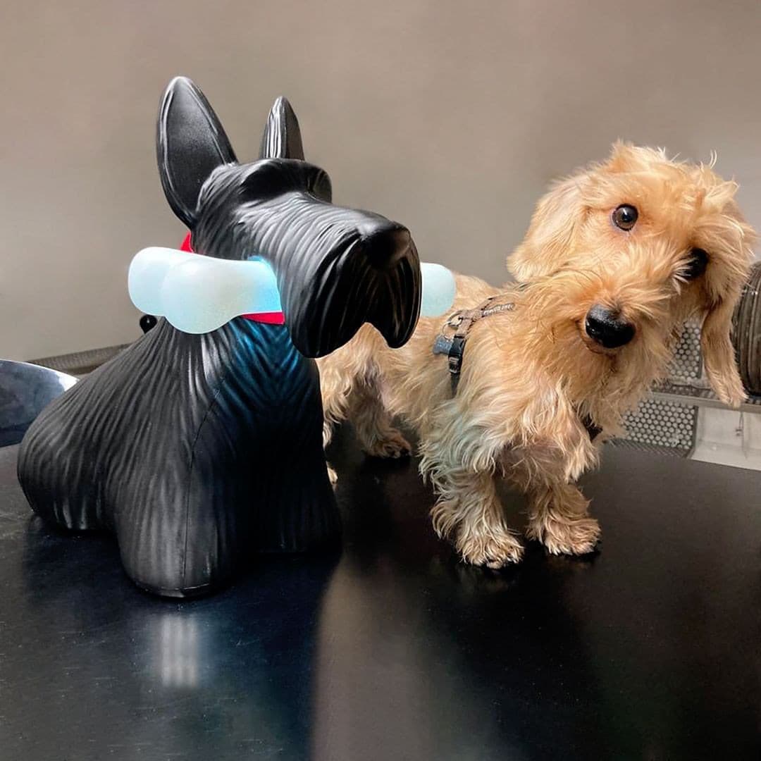 Scottie – Tischlampe aus Harz
