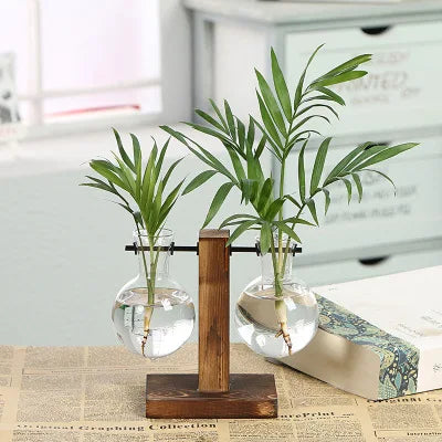 Moderne Pflanzenvase aus Glas im Terrarium-Stil
