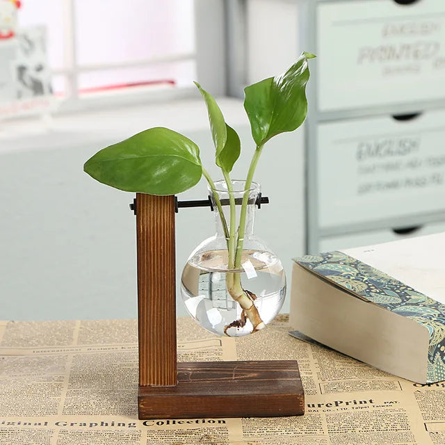 Moderne Pflanzenvase aus Glas im Terrarium-Stil