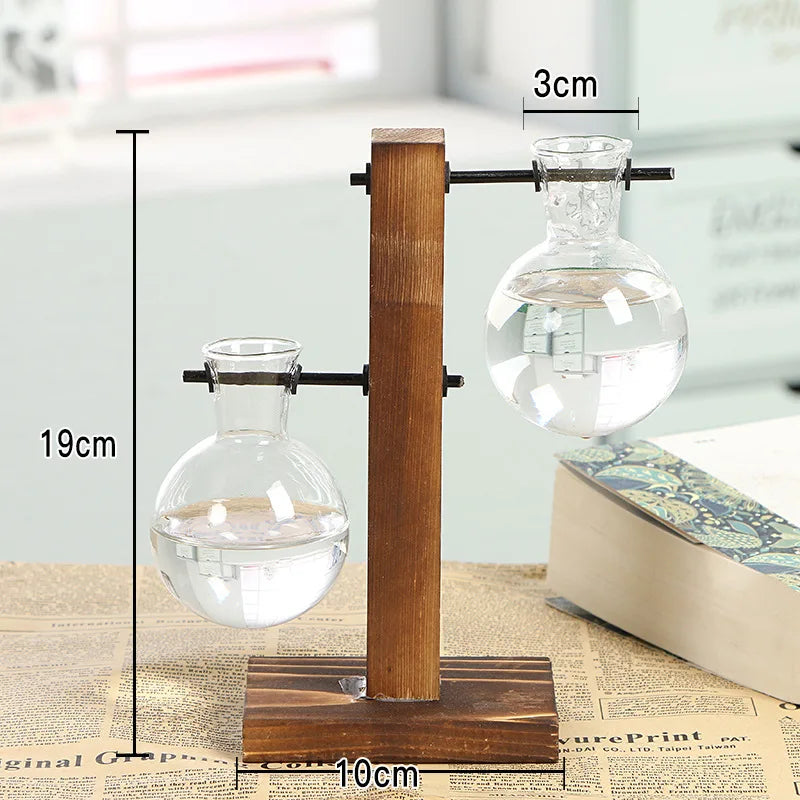 Moderne Pflanzenvase aus Glas im Terrarium-Stil