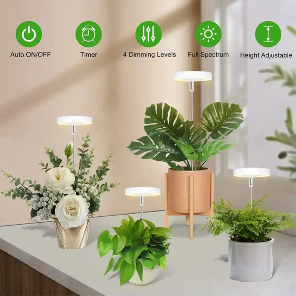PlantAura – LED-Grow-Lampe für stilvolle Pflanzenpflege im Innenraum