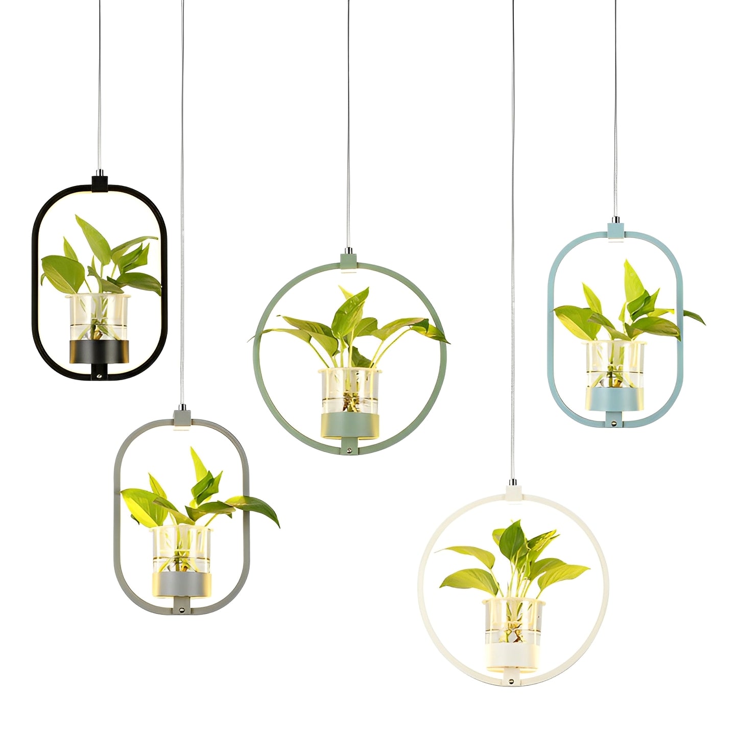 Noemi – Runde LED-Pendelleuchte mit Pflanzen-Element
