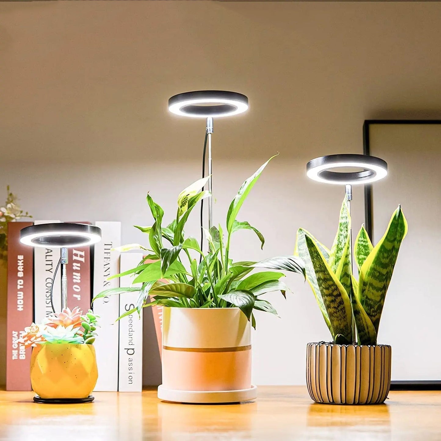 PlantAura – LED-Grow-Lampe für stilvolle Pflanzenpflege im Innenraum