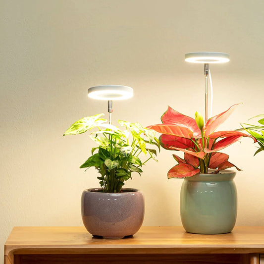 PlantAura – LED-Grow-Lampe für stilvolle Pflanzenpflege im Innenraum