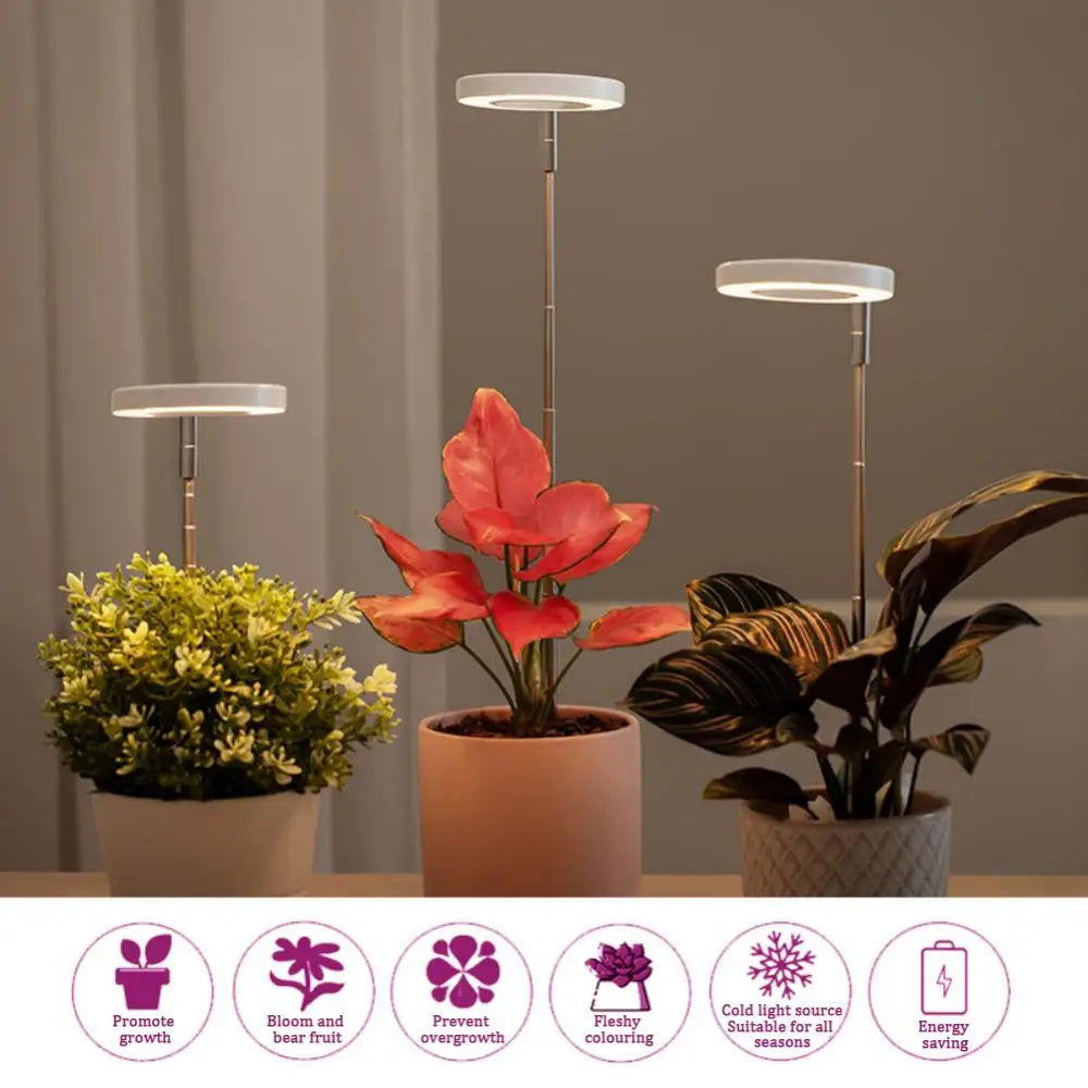 PlantAura – LED-Grow-Lampe für stilvolle Pflanzenpflege im Innenraum