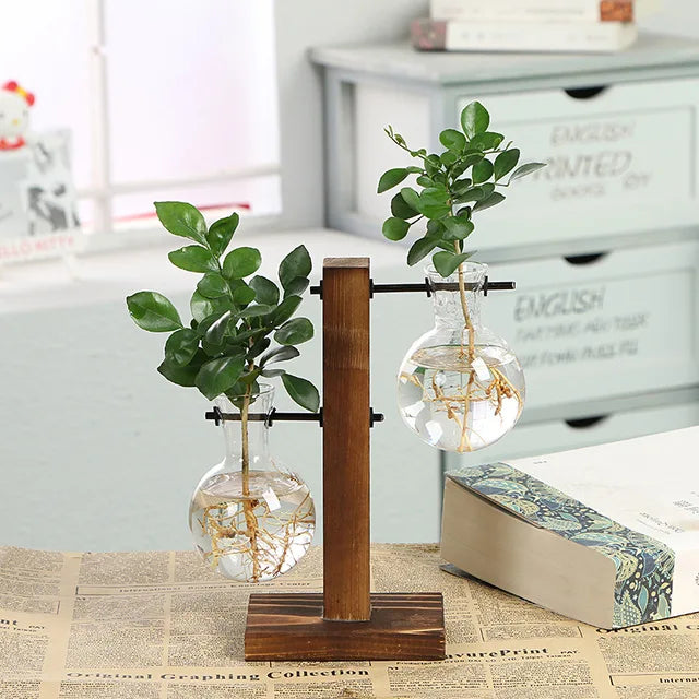 Moderne Pflanzenvase aus Glas im Terrarium-Stil