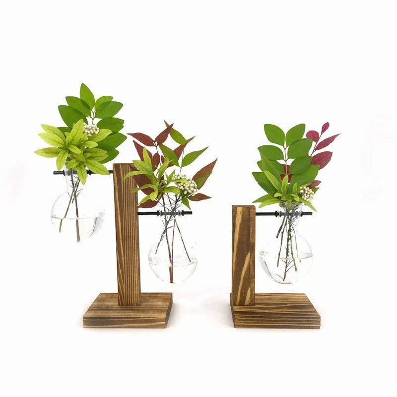 Moderne Pflanzenvase aus Glas im Terrarium-Stil