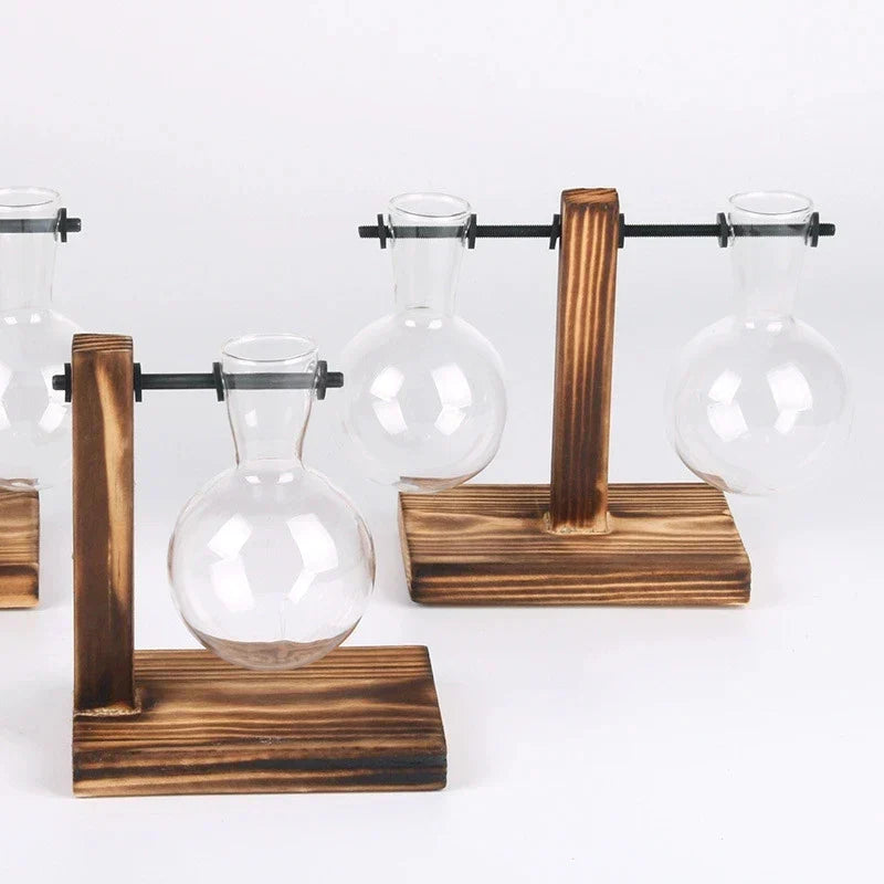 Moderne Pflanzenvase aus Glas im Terrarium-Stil